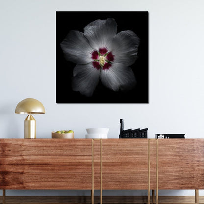 Backyard Flowers Color Version Canvas Wall Art