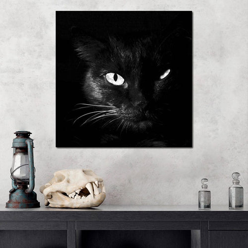 Black and White Cat Canvas Wall Art