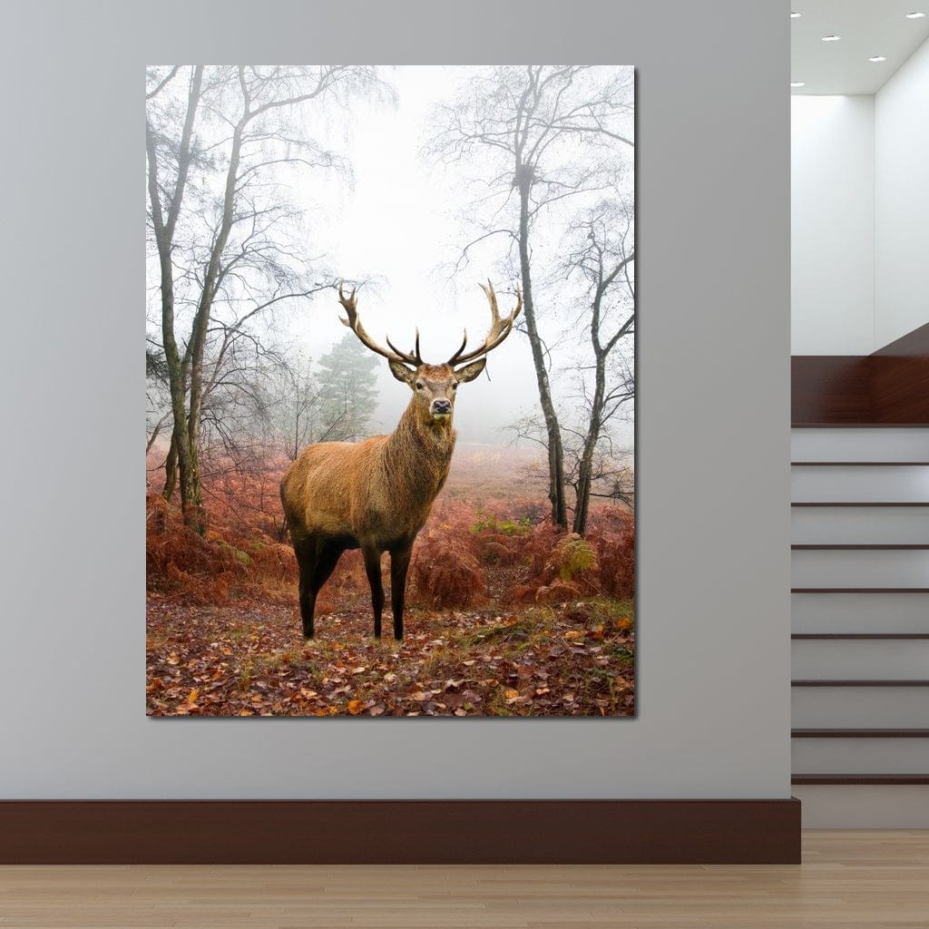 Red Deer Stag Canvas Wall Art