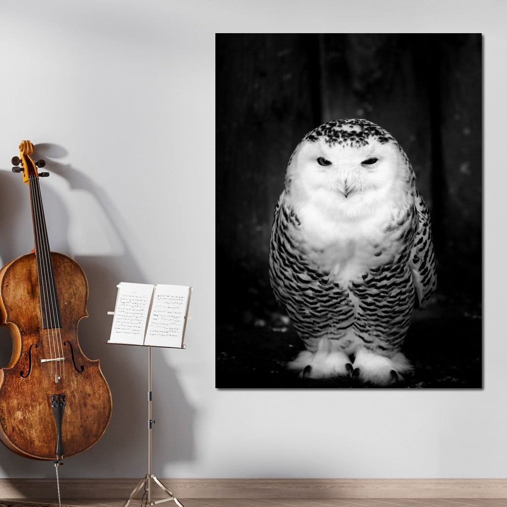 Black and White Snowy Owl Canvas Wall Art