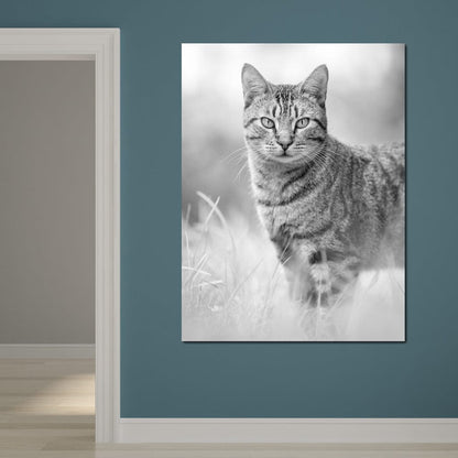 Black & White Kitty Cat Canvas Wall Art