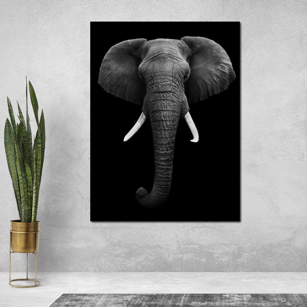 Black and White Elephant Face Canvas Wall Art
