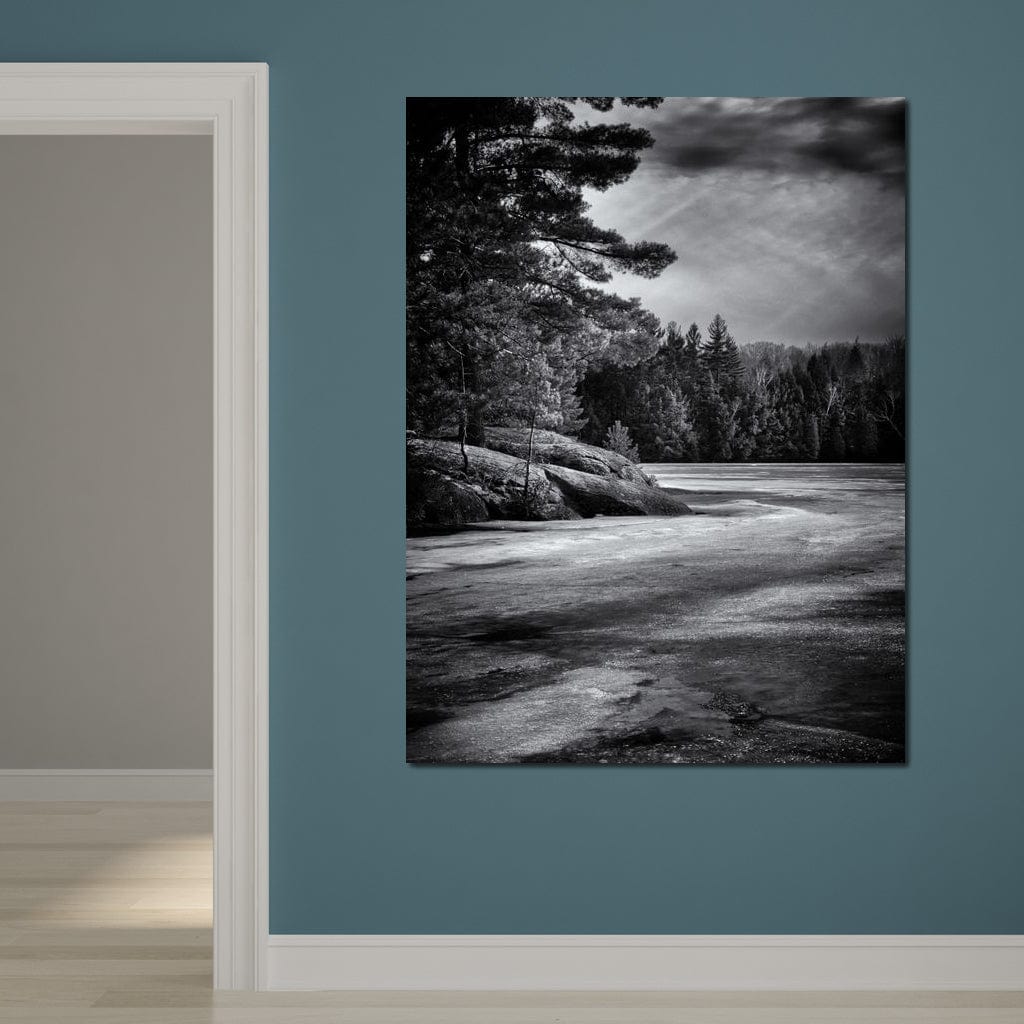 Gullwing Lake Canvas Wall Art