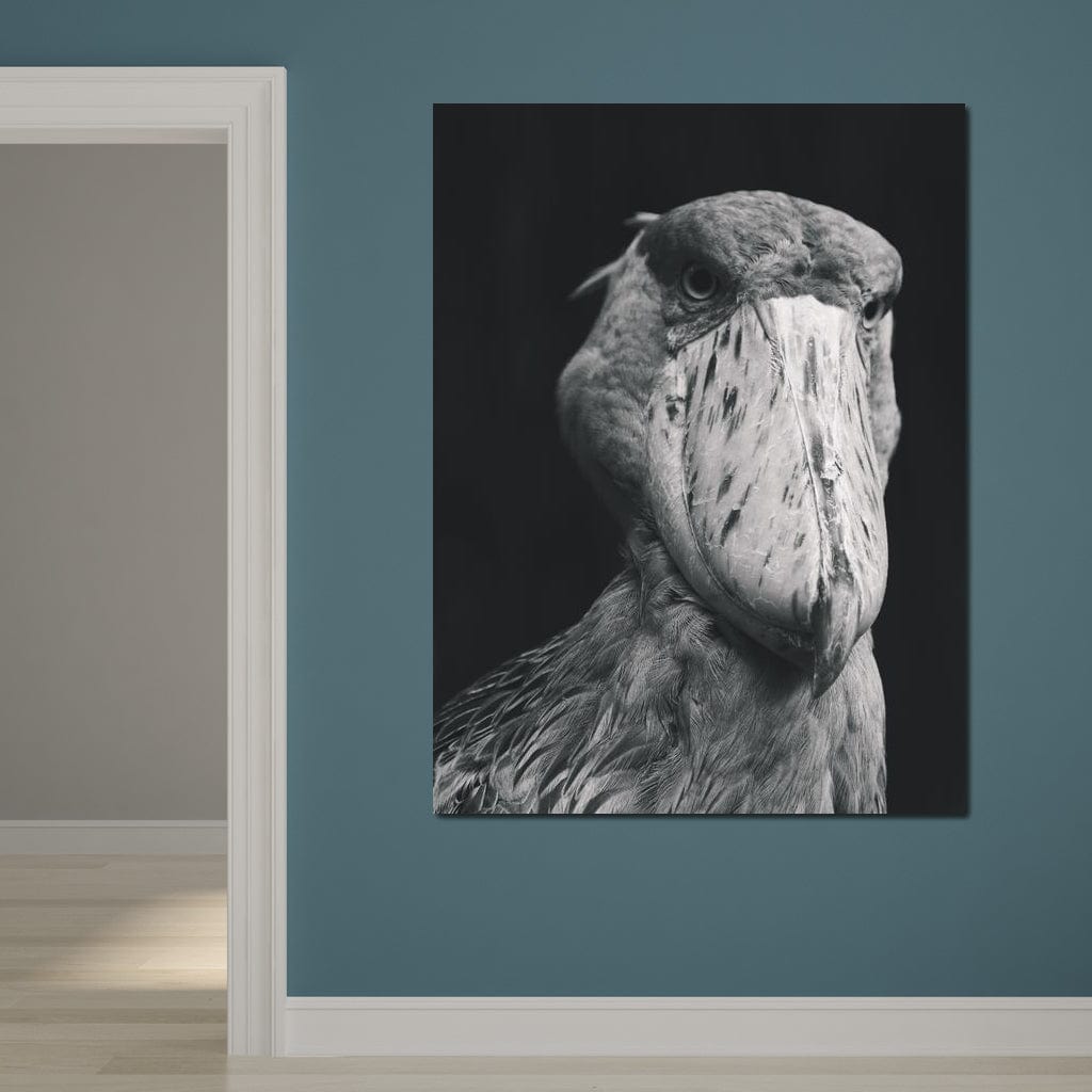 Black and White Shoebill Stork Canvas Wall Art