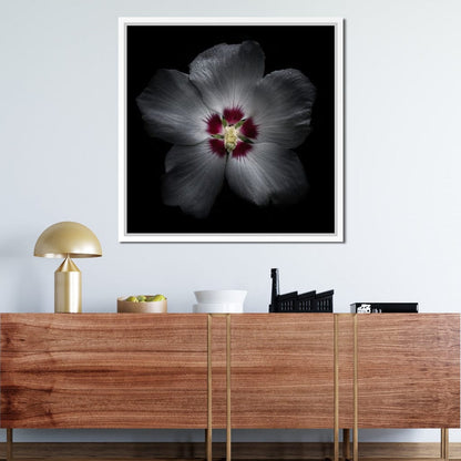 Backyard Flowers Color Version Canvas Wall Art