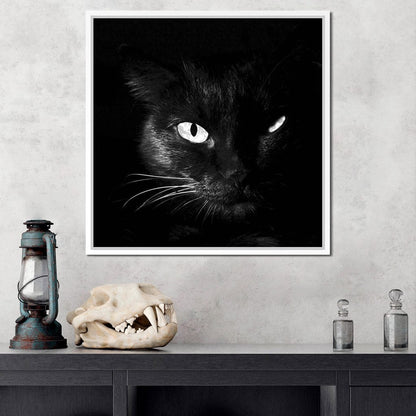 Black and White Cat Canvas Wall Art