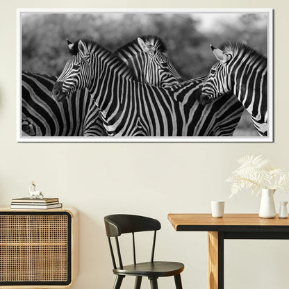 Zebra Herd in Black & White Canvas Wall Art