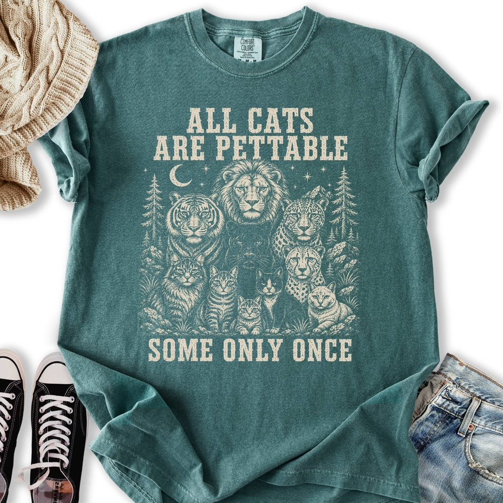 All Cats Are Pettable II Relaxed Tee