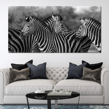 Zebra Herd in Black & White Canvas Wall Art