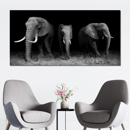Black and White Elephants Canvas Wall Art