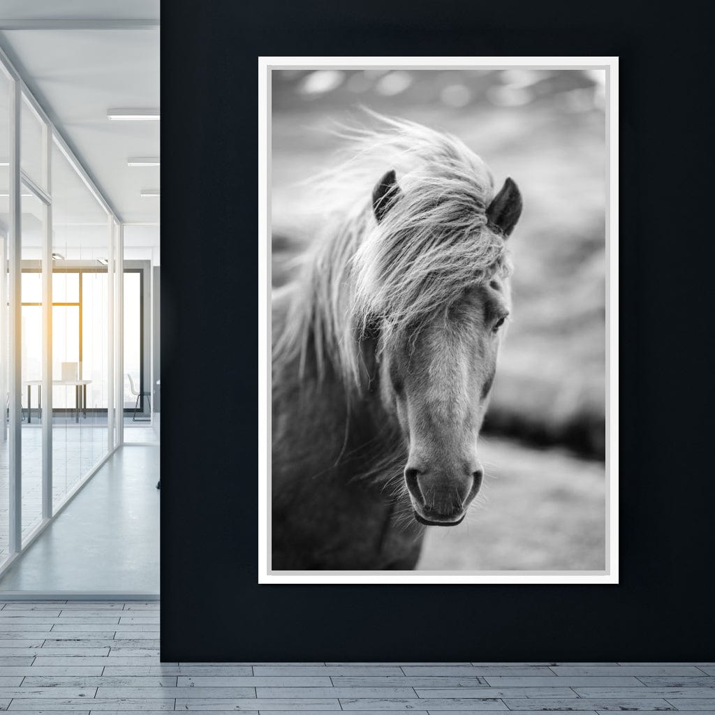 Icelandic Horse Canvas Wall Art