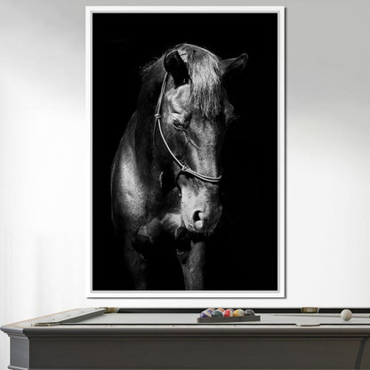 Black & White Horse Head Canvas Wall Art