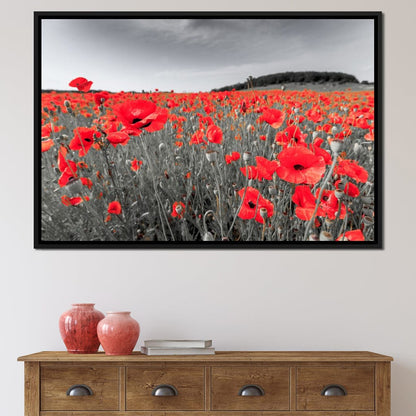 Flanders Fields Canvas Wall Art