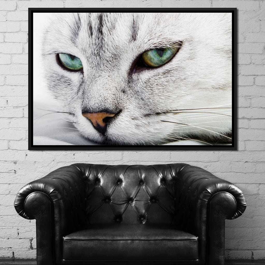 Cat Relaxing Canvas Wall Art