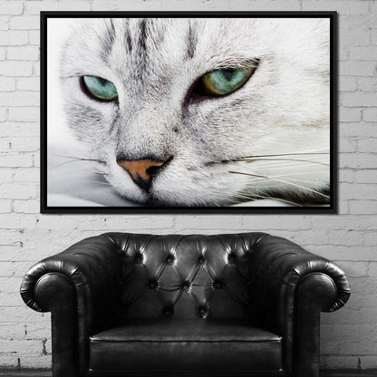 Cat Relaxing Canvas Wall Art
