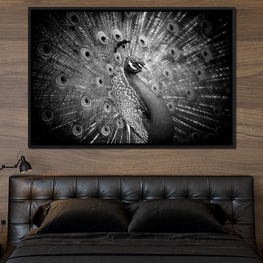 Black and White Peacock Canvas Wall Art