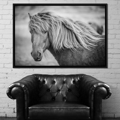 Icelandic Horse in Black & White Canvas Wall Art
