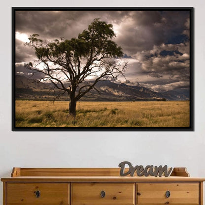 Stormy Afternoon Canvas Wall Art