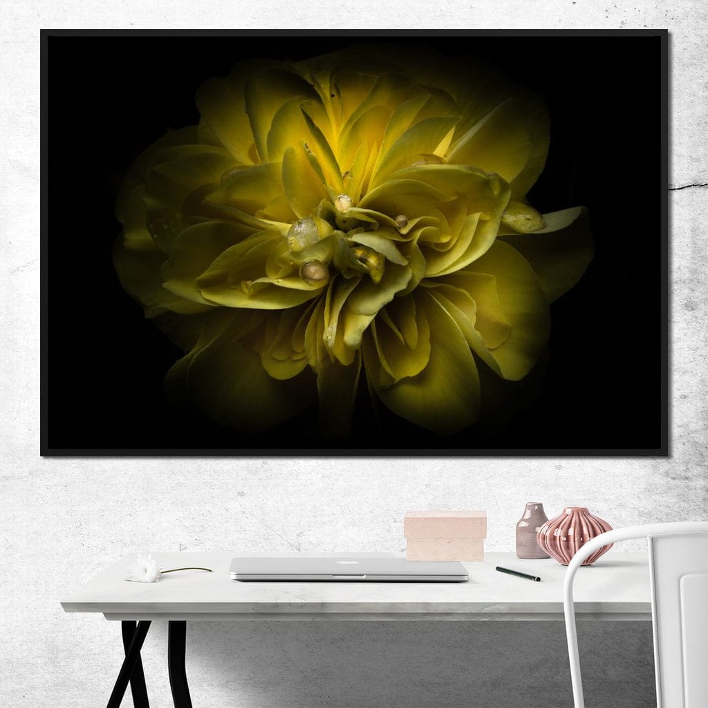 Yellow Backyard Flowers Canvas Wall Art