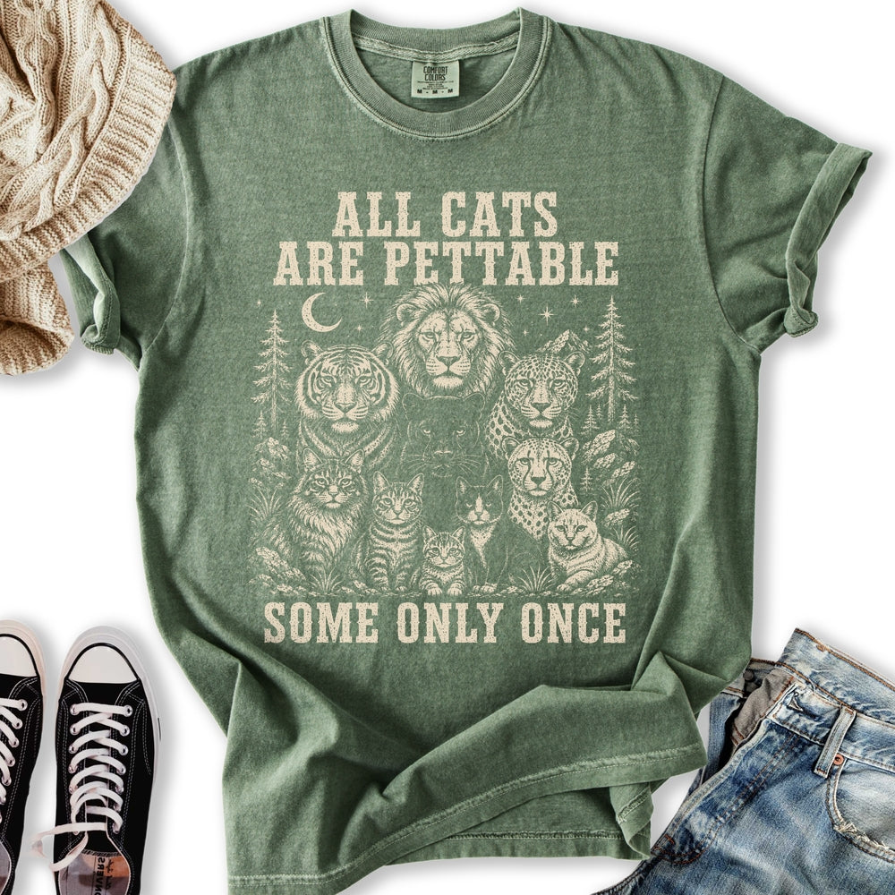 All Cats Are Pettable II Relaxed Tee