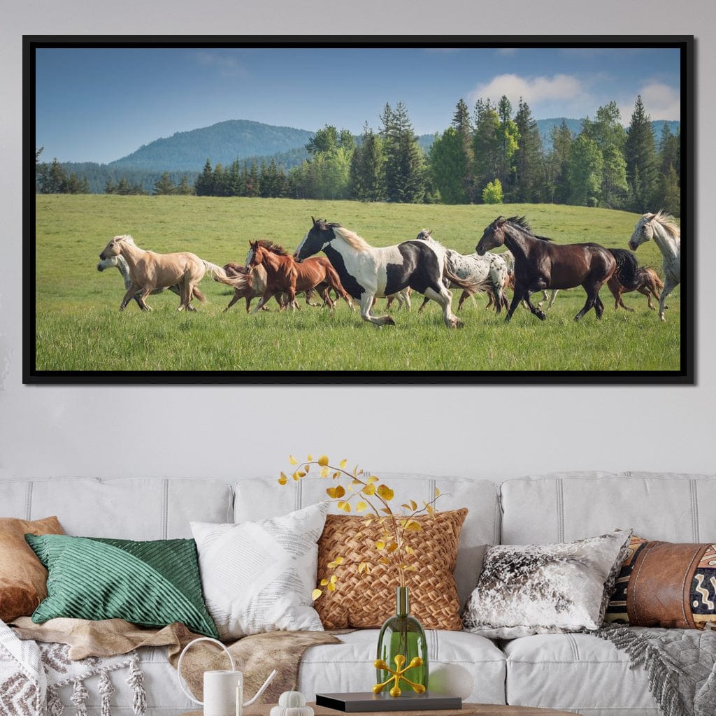 Horses of all Colors Running in a Pasture Canvas Wall Art