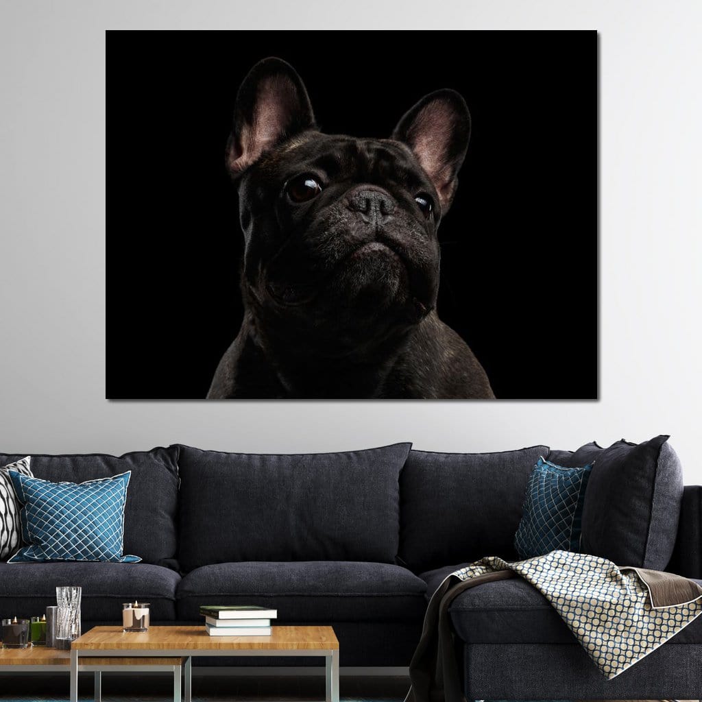 Black French Bulldog Canvas Wall Art