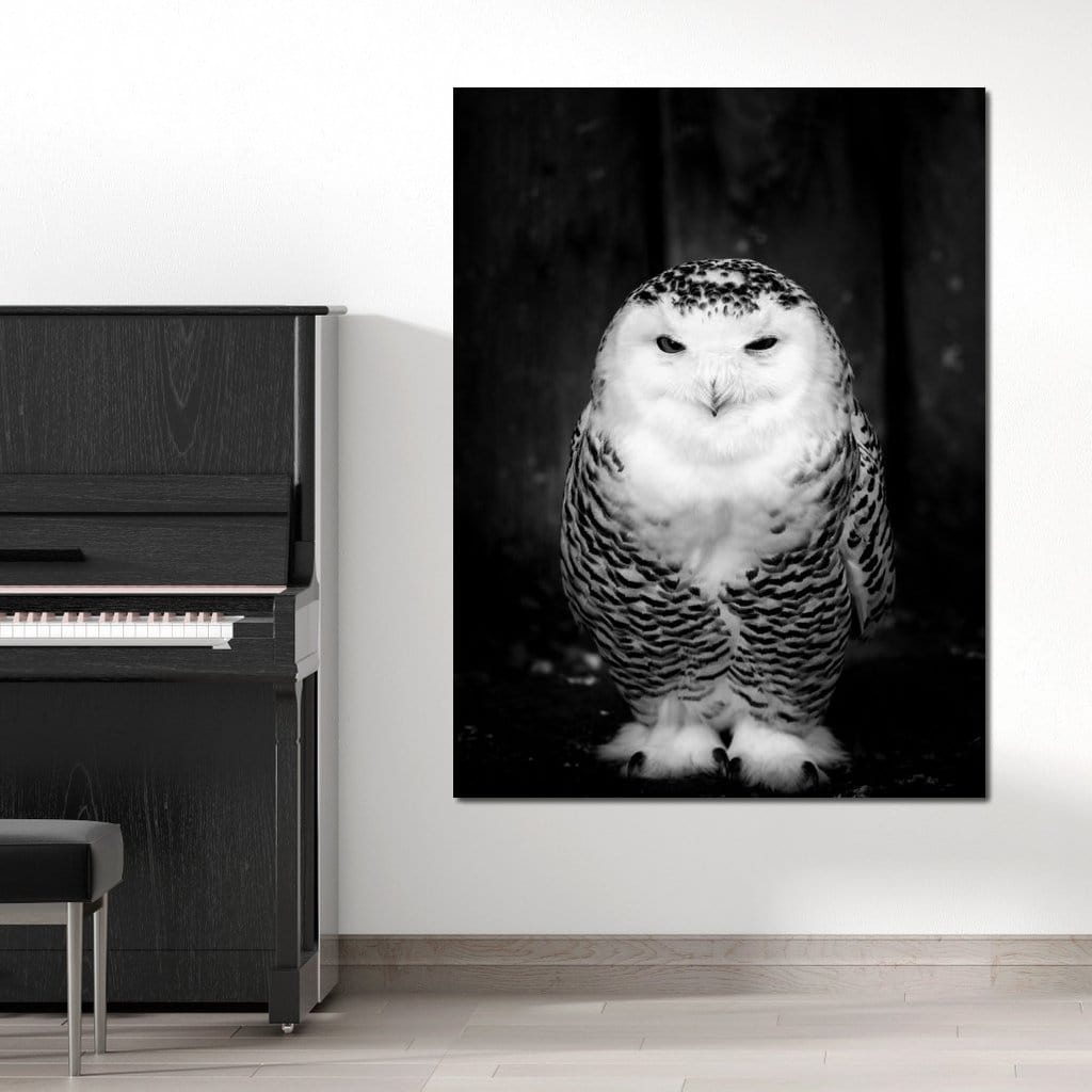 Black and White Snowy Owl Canvas Wall Art