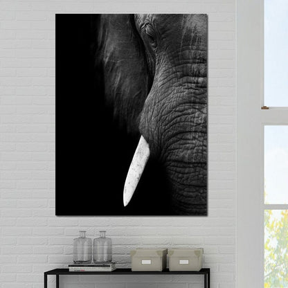 Black and White Elephant Close up Canvas Wall Art