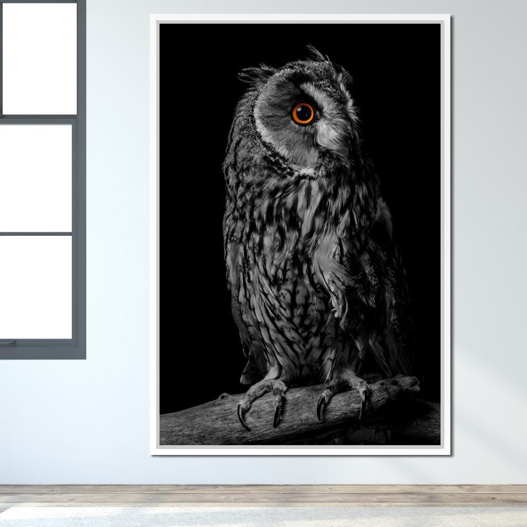 Black & White Owl Canvas Wall Art
