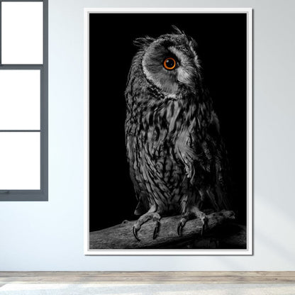 Black & White Owl Canvas Wall Art