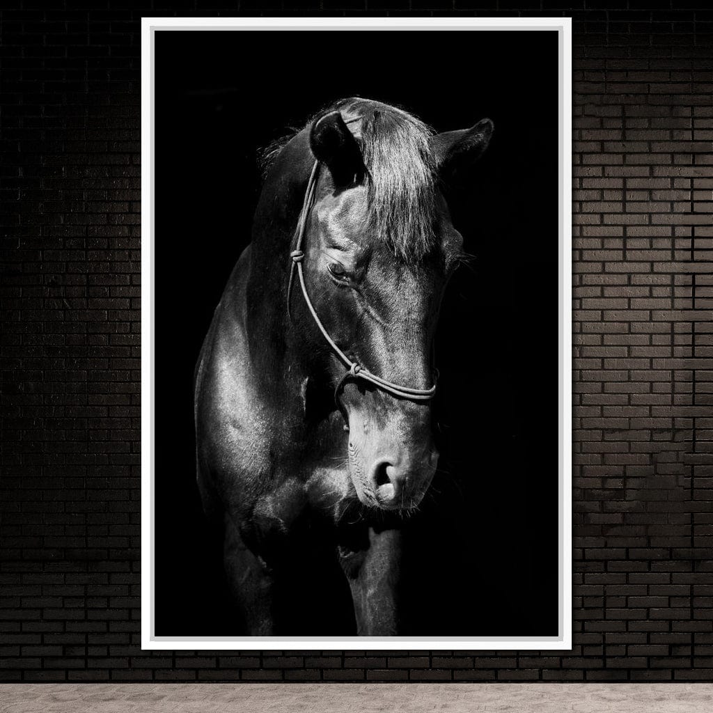 Black & White Horse Head Canvas Wall Art