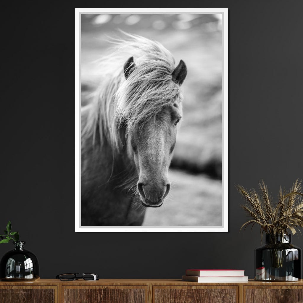 Icelandic Horse Canvas Wall Art