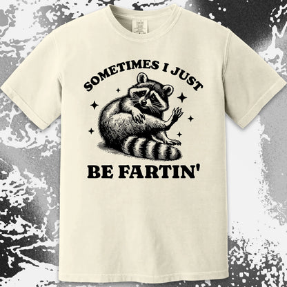 Sometimes I Just Be Fartin' Raccoon Shirt, funny meme tee gift (view 20)