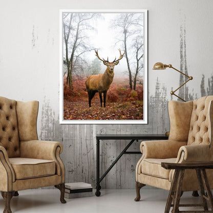 Red Deer Stag Canvas Wall Art