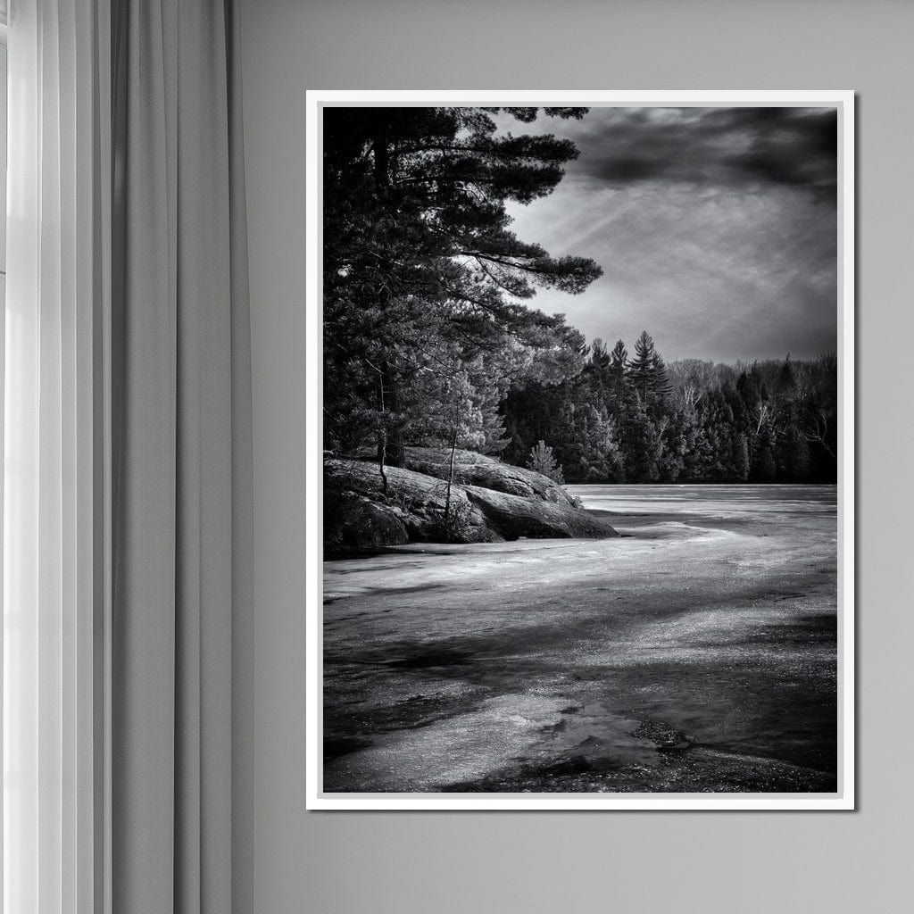 Gullwing Lake Canvas Wall Art
