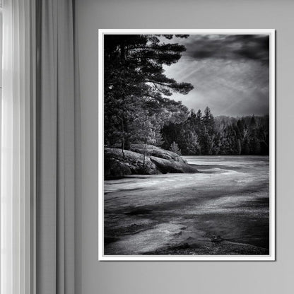 Gullwing Lake Canvas Wall Art