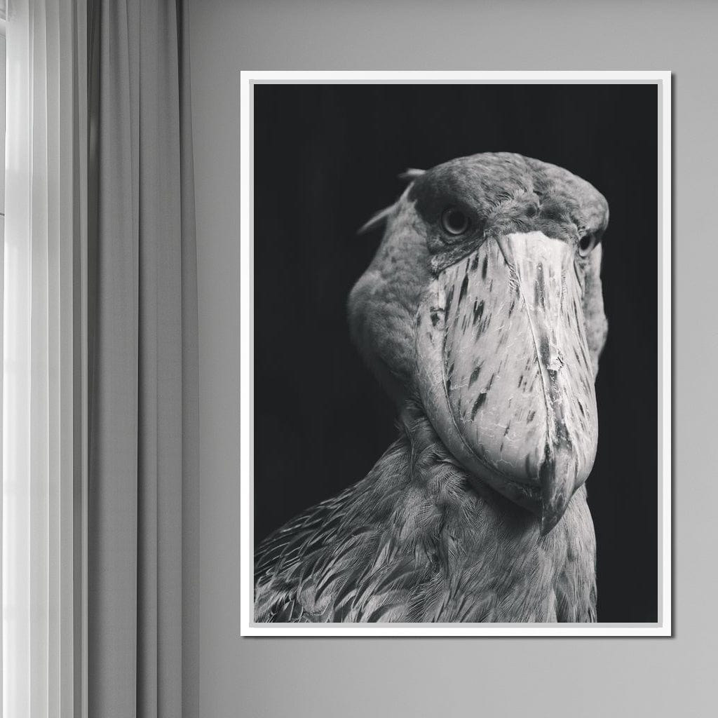 Black and White Shoebill Stork Canvas Wall Art