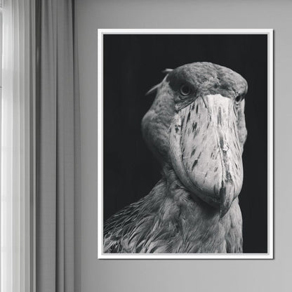 Black and White Shoebill Stork Canvas Wall Art