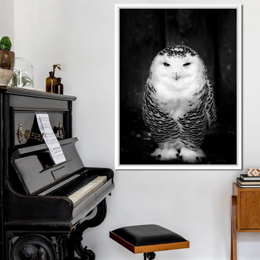 Black and White Snowy Owl Canvas Wall Art