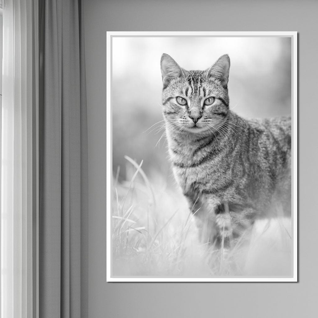Black & White Kitty Cat Canvas Wall Art