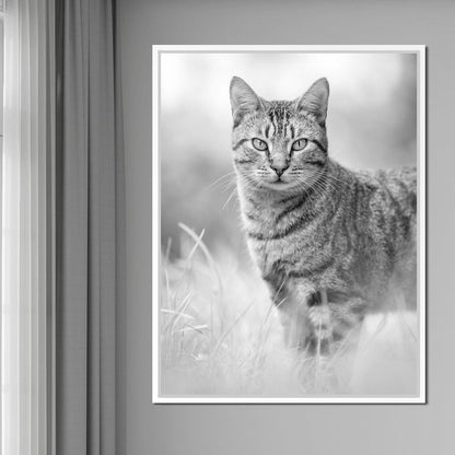 Black & White Kitty Cat Canvas Wall Art