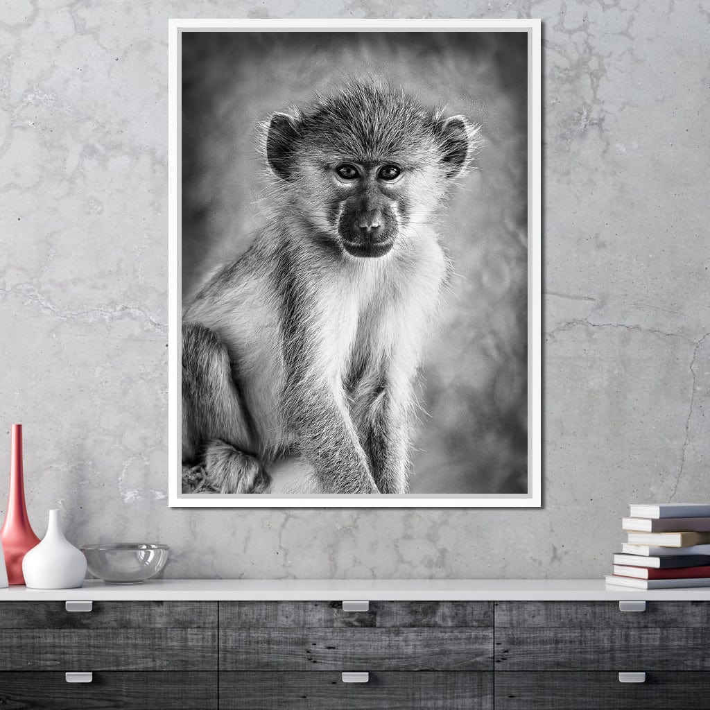 Monkey in Black & White Canvas Wall Art
