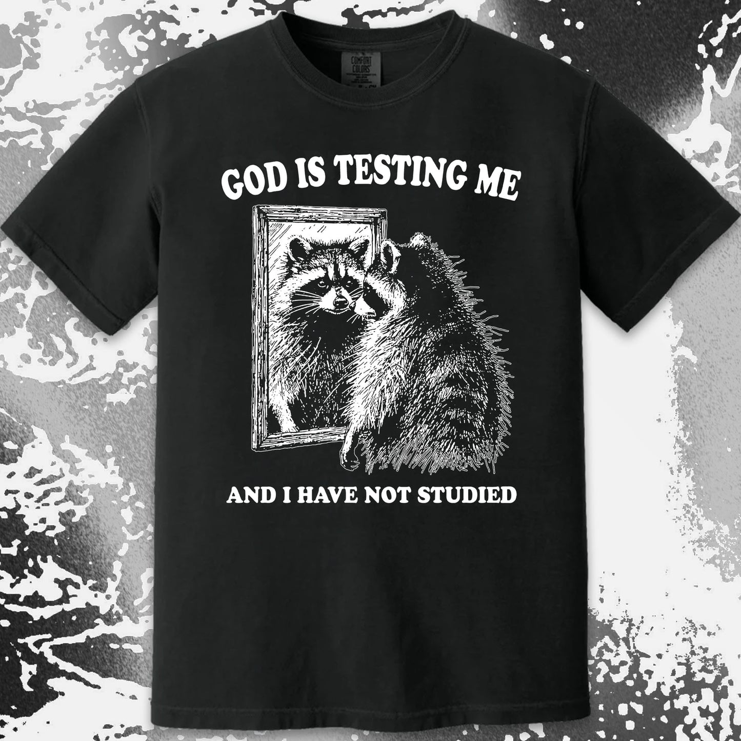 God Is Testing Me And I Have Not Studied Shirt (view 17)