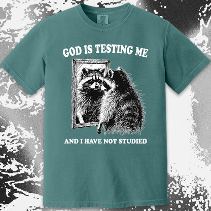 God Is Testing Me And I Have Not Studied Shirt (view 18)