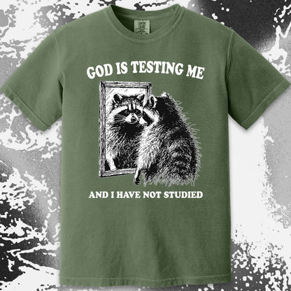 God Is Testing Me And I Have Not Studied Shirt (view 11)