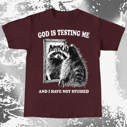 God Is Testing Me And I Have Not Studied Shirt (view 5)