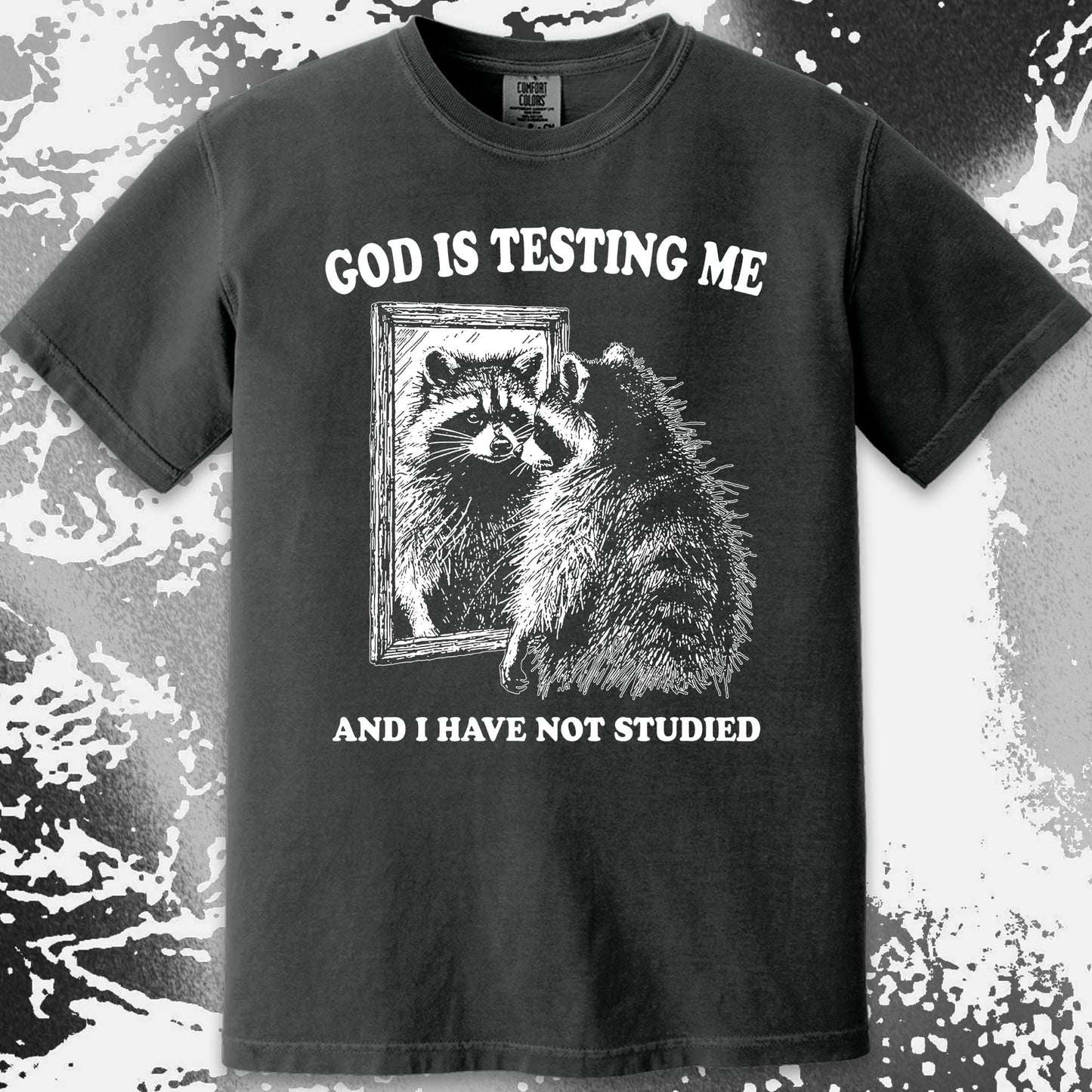God Is Testing Me And I Have Not Studied Shirt (view 12)