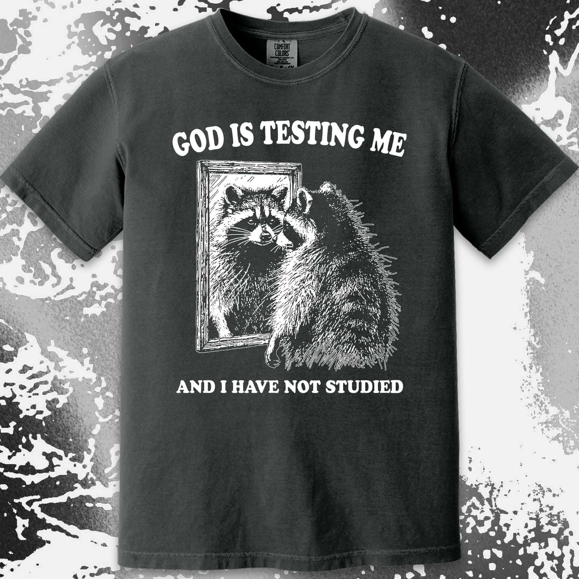 God Is Testing Me And I Have Not Studied Shirt (view 12)