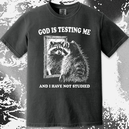 God Is Testing Me And I Have Not Studied Shirt (view 12)