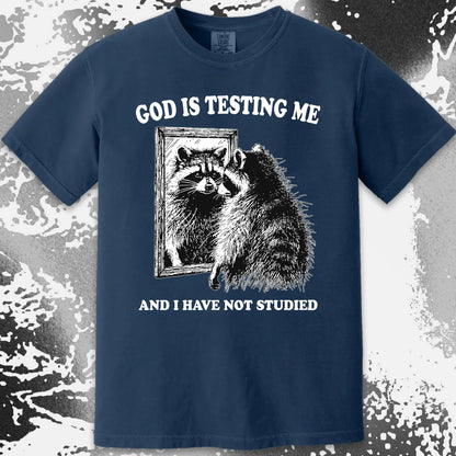 God Is Testing Me And I Have Not Studied Shirt (view 13)